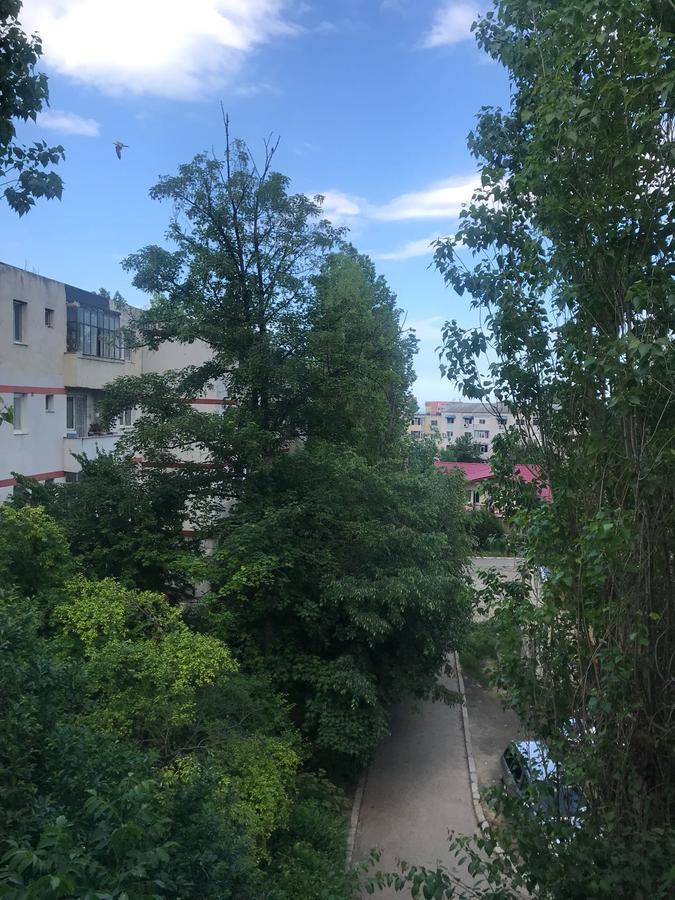 Apartament Myria 康斯坦察 外观 照片
